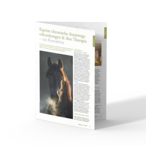 Fachartikel: Equines Asthma