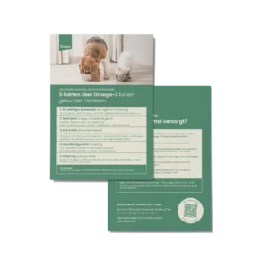 Flyer: Omega-3 Fakten